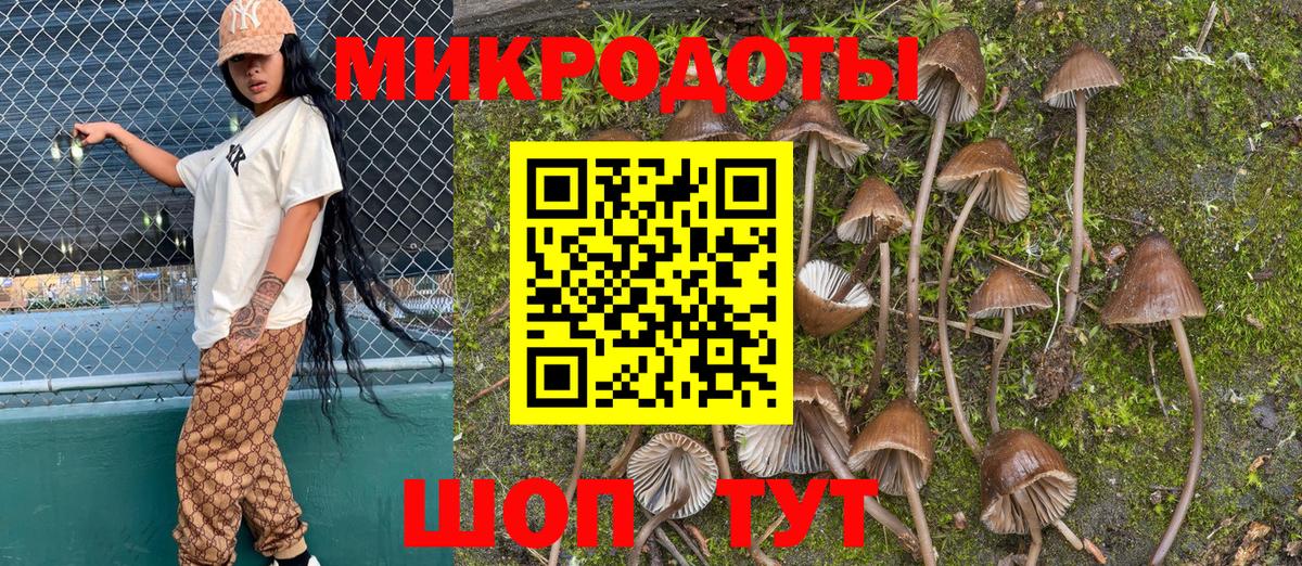 Галлюциногенные грибы мухоморы  Вход с VPN  Гурьевск 